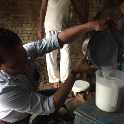 Indian smallholder farmer measuring milk. Photo credit: Professor Ben Hayes